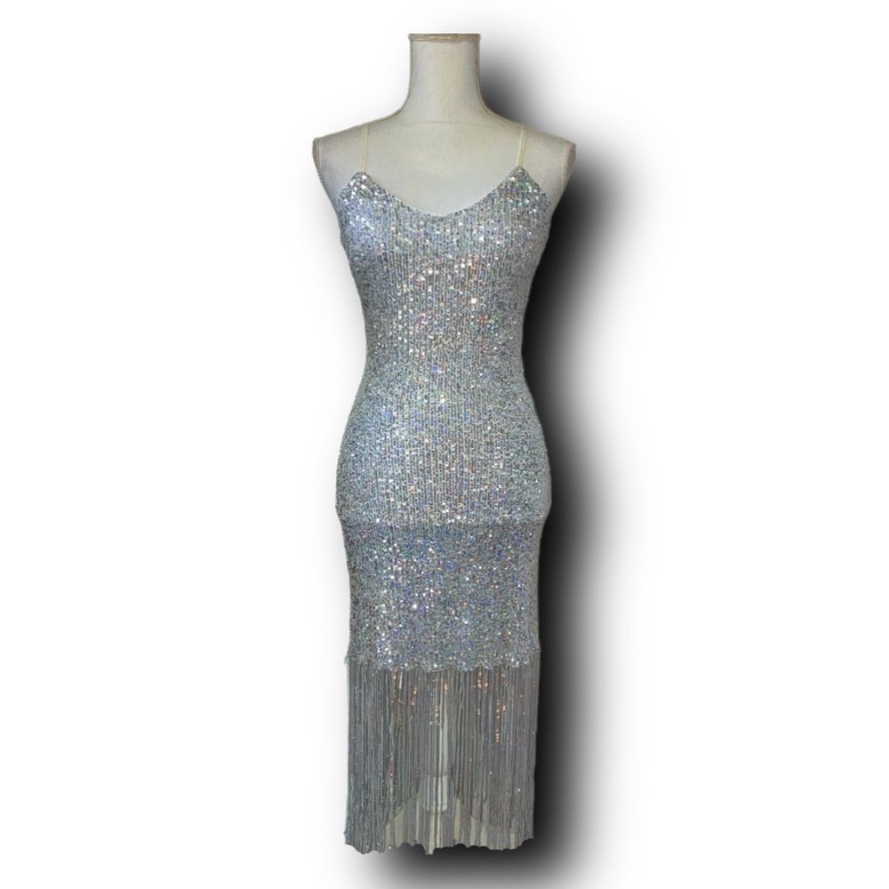 Silver Sequined Dress with Fringed Hem from Celebrity Fashion by Hera Collection